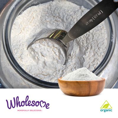 Organic Powdered Sugar (6X) by Wholesome Sweeteners