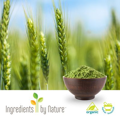 Organic Barley Grass Powder by Ingredients by Nature