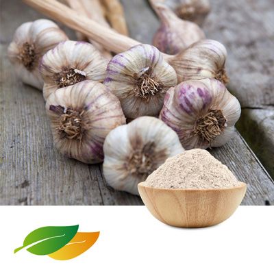 Garlic Extract 1% Allicin by Shandong Lirun Health Technology Co; Ltd
