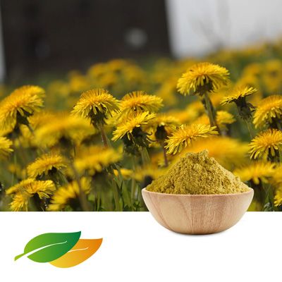Dandelion Extract by Shandong Lirun Health Technology Co; Ltd
