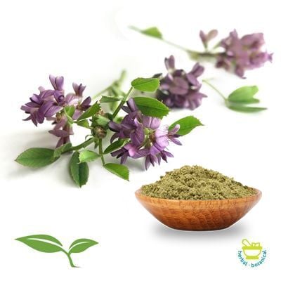Lavender Powder by American Botanicals