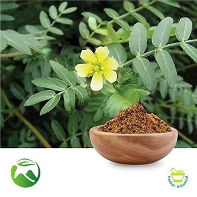 Tribulus Powder by Xi'an Herbs Valley