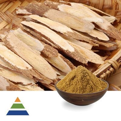 Astragalus Extract 10:1 by KS Nutripharma