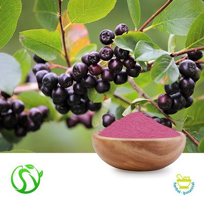 Aronia Berry Powder by Hanzhong Han Traceability