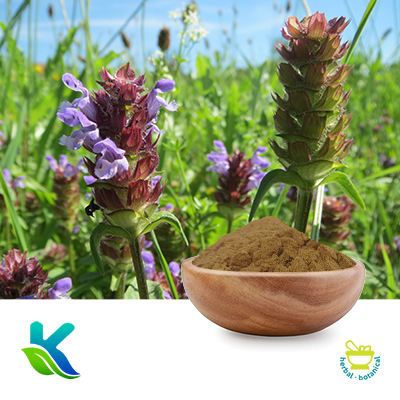 Prunella Extract 10:1 by Hunan Naturext