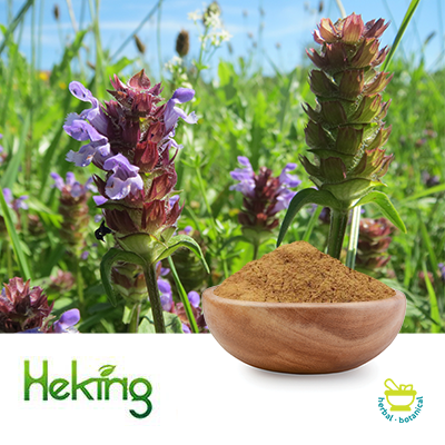 Prunella Vulgaris Extract 10:1 by Heking