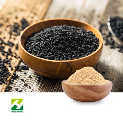 Psoralea Fruit Extract 10:1 by Organic Herb Inc