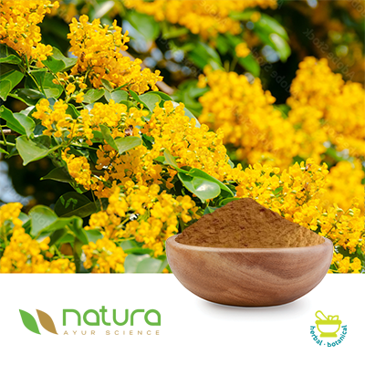Pterocarpus Powder Extract 5% by HPLC by Natura Ayur Science