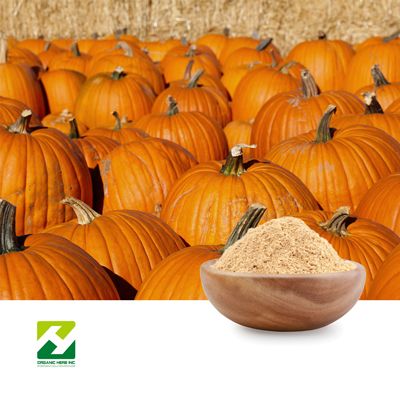 Pumpkin Seed Extract 10:1 by Organic Herb Inc