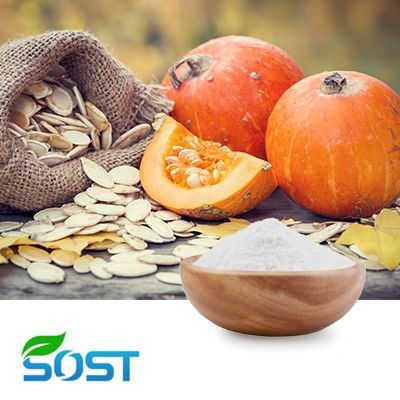 Pumpkin Seed Extract 10:1 by SOST