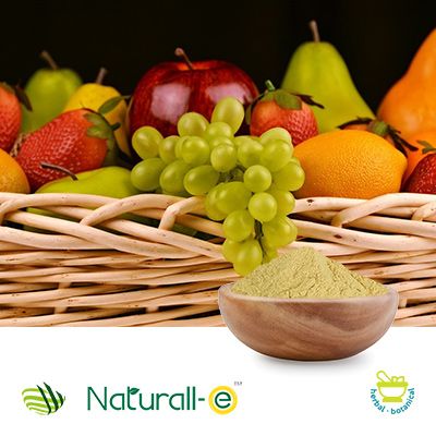 Natural Mixed Tocopherol 30% Powder Gum Acacia (SO-T30PG) by Matrix Fine Sciences