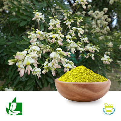 Quercetin Dihydrate 95% Powder by Shaanxi Green Bio-Engineering