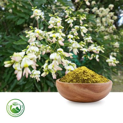 Quercetin Dihydrate 95% Powder by Xi'an Herbs Valley