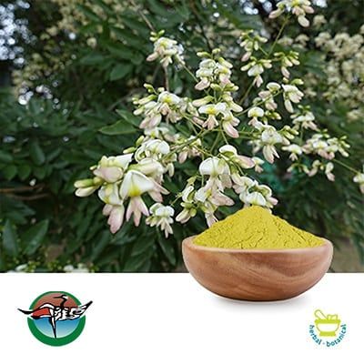 Quercetin Anhydrous (Dimorphandra Mollis) Powder 95% HPLC by Ningbo Herb