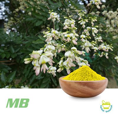 Quercetin Anhydrous 95% HPLC Granulated Powder by MB Supplements