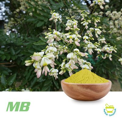 Quercetin Dihydrate Powder 95% HPLC by MB Supplements