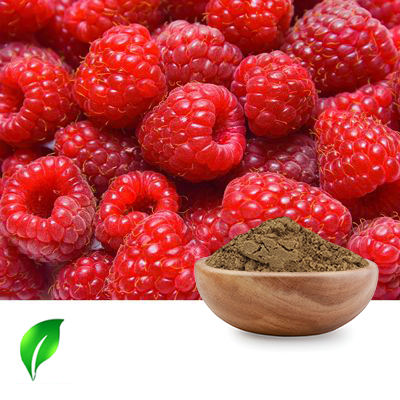 Raspberry Extract 10:1 by Changsha Sunnycare