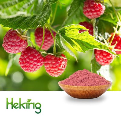Raspberry Juice Powder by Heking