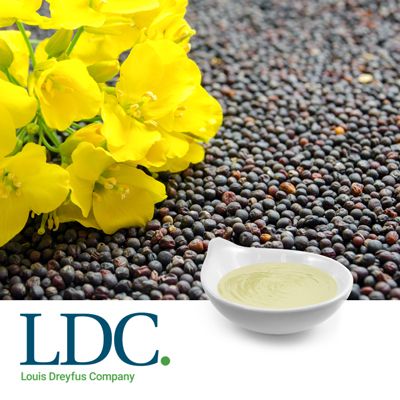 Refined Bleached Deodorized Commodity Canola Oil by Louis Dreyfus Company