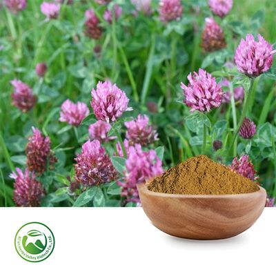 Red Clover Extract 10:1 by Xi'an Herbs Valley
