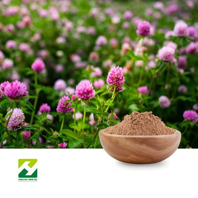 Red Clover Extract 10:1 by Organic Herb Inc