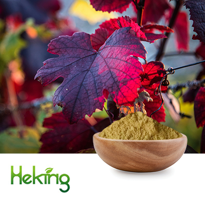 Red Vine Leaf Extract 10:1 by Heking