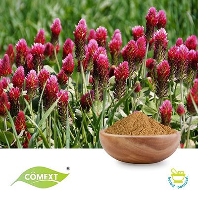 Red Clover Extract 8% Isoflavones by Comext