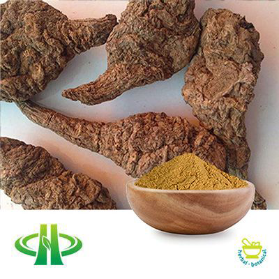 Rehmannia Root Powder by Shandong Zhongmin