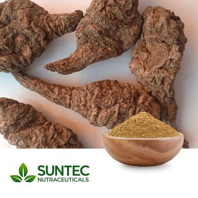 Rehmannia Root Powder by Suntec Nutraceuticals