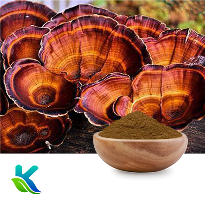 Reishi Mushroom Extract 10:1 by Hunan Naturext