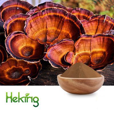 Reishi Mushroom Extract 30% Polysaccharide by Heking