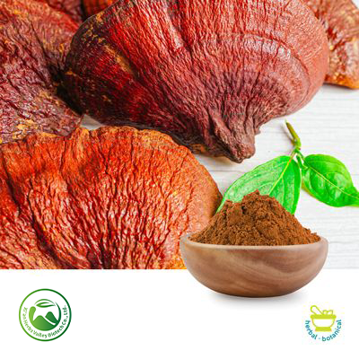 Reishi Mushroom Powder by Xi'an Herbs Valley