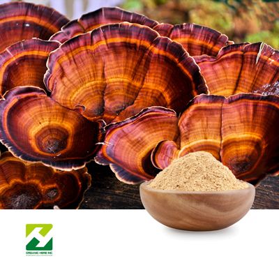Reishi Mushroom Powder by Organic Herb Inc