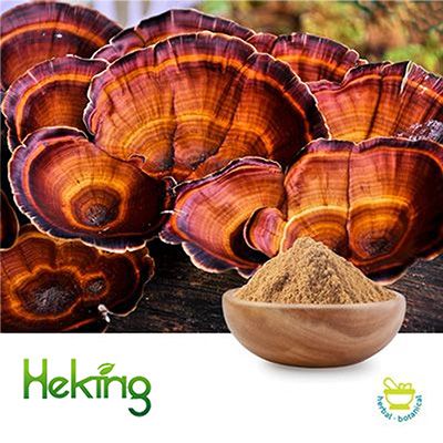 Reishi Mushroom Extract 50% Polysaccharide by Heking