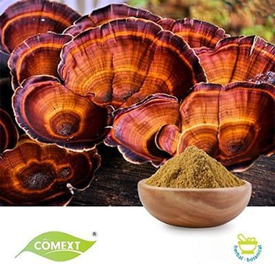 Reishi Mushroom Powder by Comext