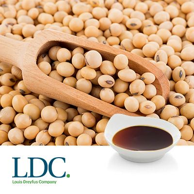 Liquid Soy Lecithin by Louis Dreyfus Company