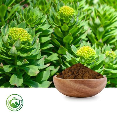 Rhodiola Rosea Extract 10:1 by Xi'an Herbs Valley