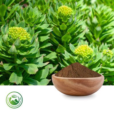 Rhodiola Rosea Extract 1% Salidroside by Xi'an Herbs Valley
