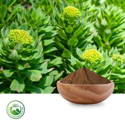 Rhodiola Rosea Powder by Xi'an Herbs Valley
