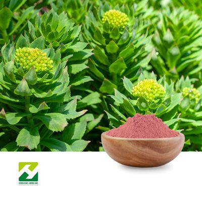 Rhodiola Rosea Extract 3% Rosavins 1% Salidroside by Organic Herb Inc