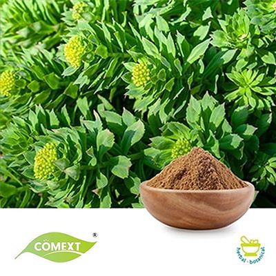 Rhodiola Rosea Extract 3% Rosavins 1% Salidroside by Comext