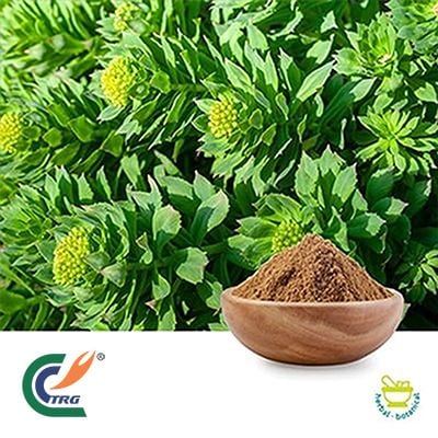 Rhodiola Rosea Extract 3% Rosavins 1% Salidroside by Hanzhong TRG