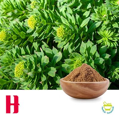 Rhodiola Rosea Extract 3% Rosavins 2% Salidroside HPLC by Jiangxi H&K Food