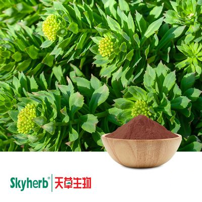 Rhodiola Rosea Extract Salidroside 3% by Skyherb