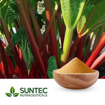  Rhubarb Root Powder by Suntec Nutraceuticals