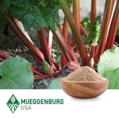 Rhubarb Root, Powder by Mueggenburg USA