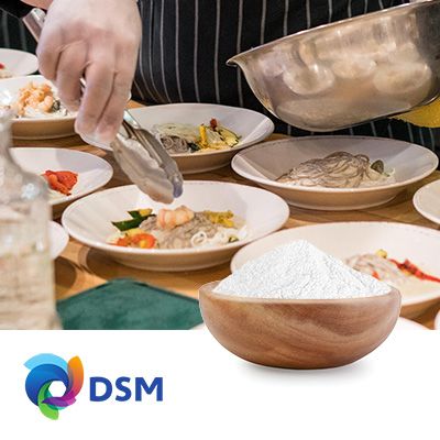 ROCOAT® Riboflavin 33 1/3% by DSM Nutritional Products