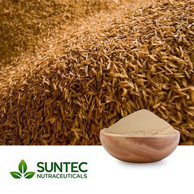 Rice Bran Powder by Suntec Nutraceuticals