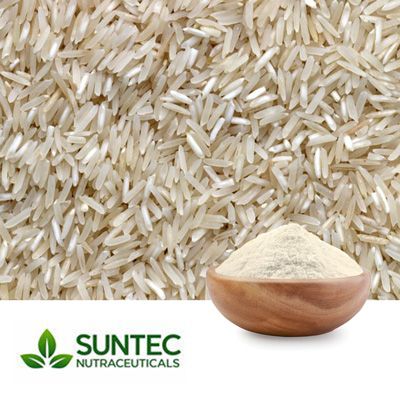 Rice Flour by Suntec Nutraceuticals