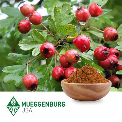 Rose Hips, Powder by Mueggenburg USA